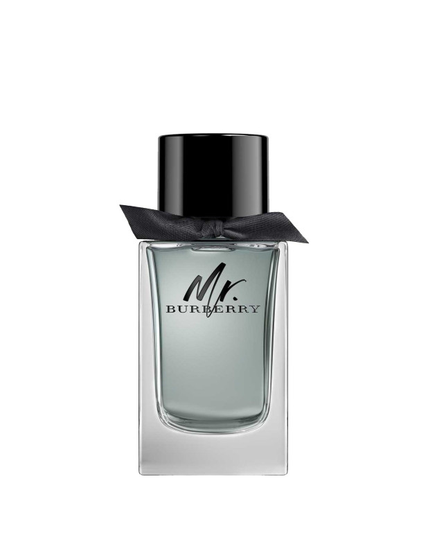 Mr. Burberry Edt